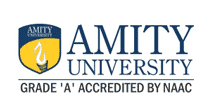 amity university distance learning MBA